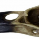 Craniu decoratiune V16 Corvus Alchemica (Colectia Alchemy Vault) - image 2