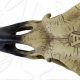 Craniu decoratiune V16 Corvus Alchemica (Colectia Alchemy Vault) - image 4