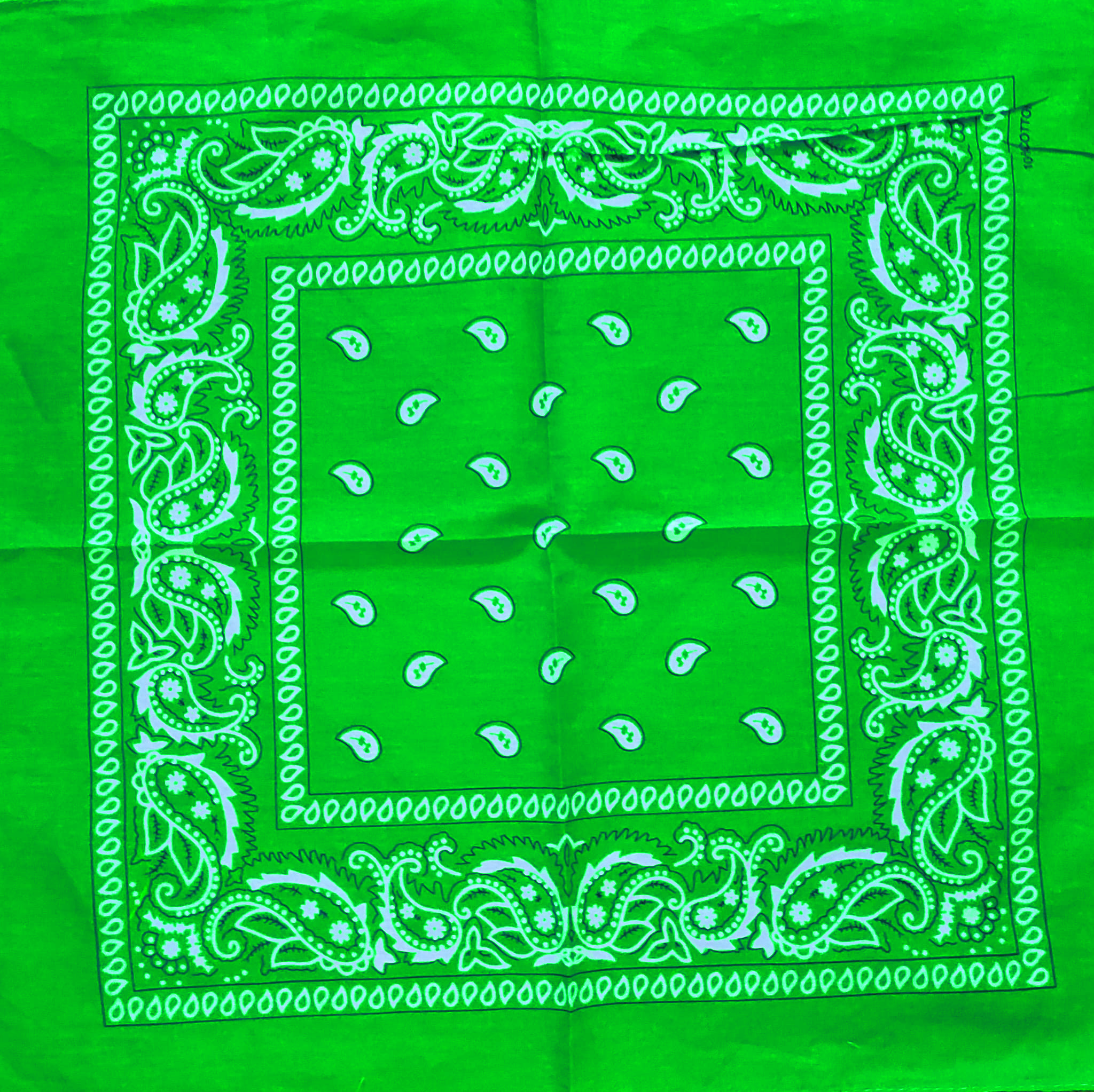 Bandana floral verde