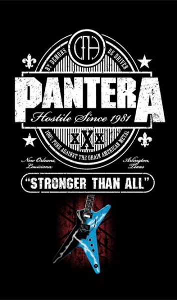 Steag PANTERA - Stronger Than All (VKG)