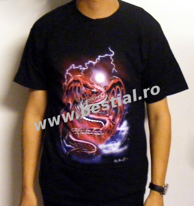 Tricou Dragon in the Mist Black (TR/CEL/32)