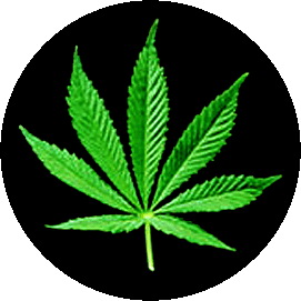 Insigna 2,5 cm CANNABIS Leaf (HBG)