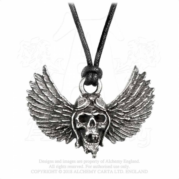 Medalion PP513 Airbourne Winged Skull