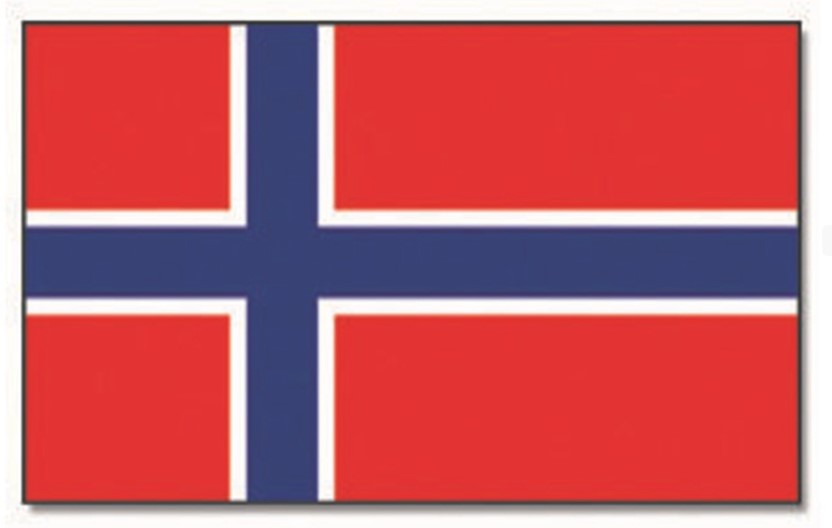 Steag NORVEGIA (Norway Flag) Art. 16738000